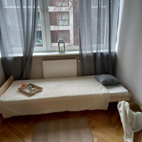 Regem Pokoje Złota, Warsaw